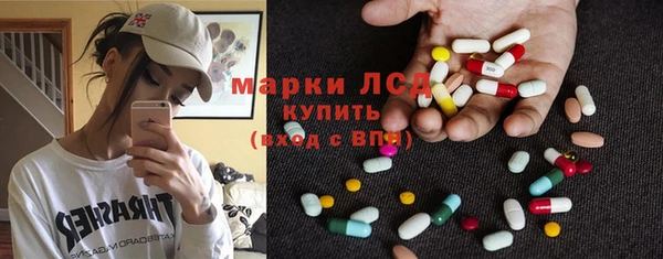 a pvp Аркадак