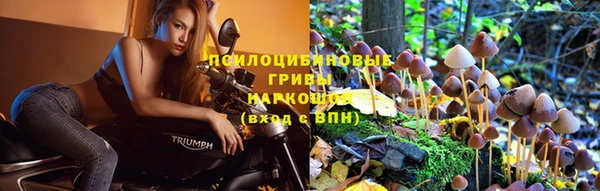 a pvp Аркадак