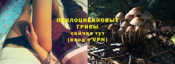 a pvp Аркадак