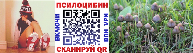 наркошоп  Николаевск-на-Амуре  Галлюциногенные грибы мицелий 